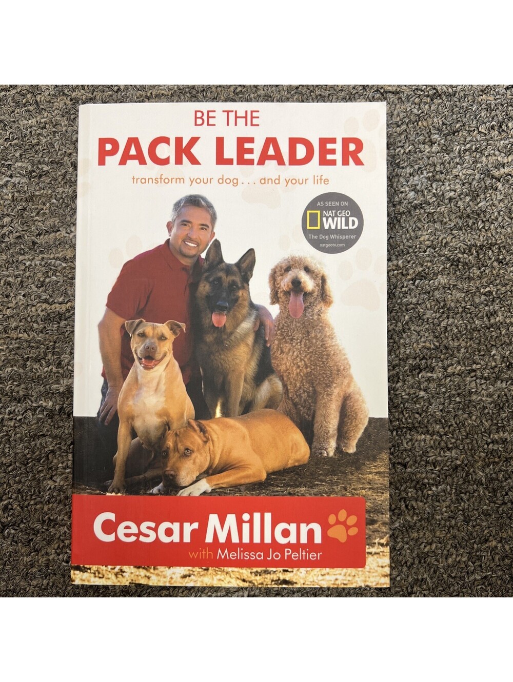 Be the Pack Leader: Use Cesars Way to Transform Your Dog